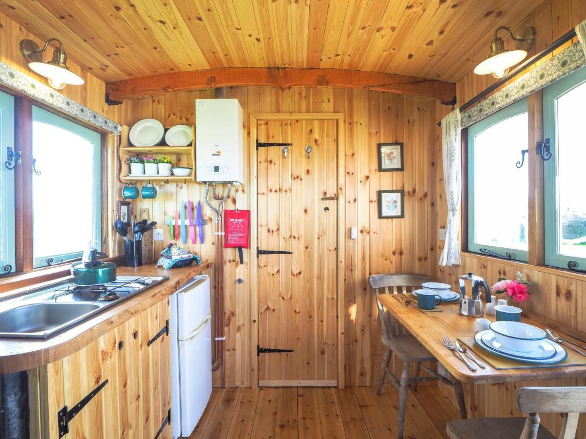Trenewydd Farm Holiday Cottages Кардиган Экстерьер фото