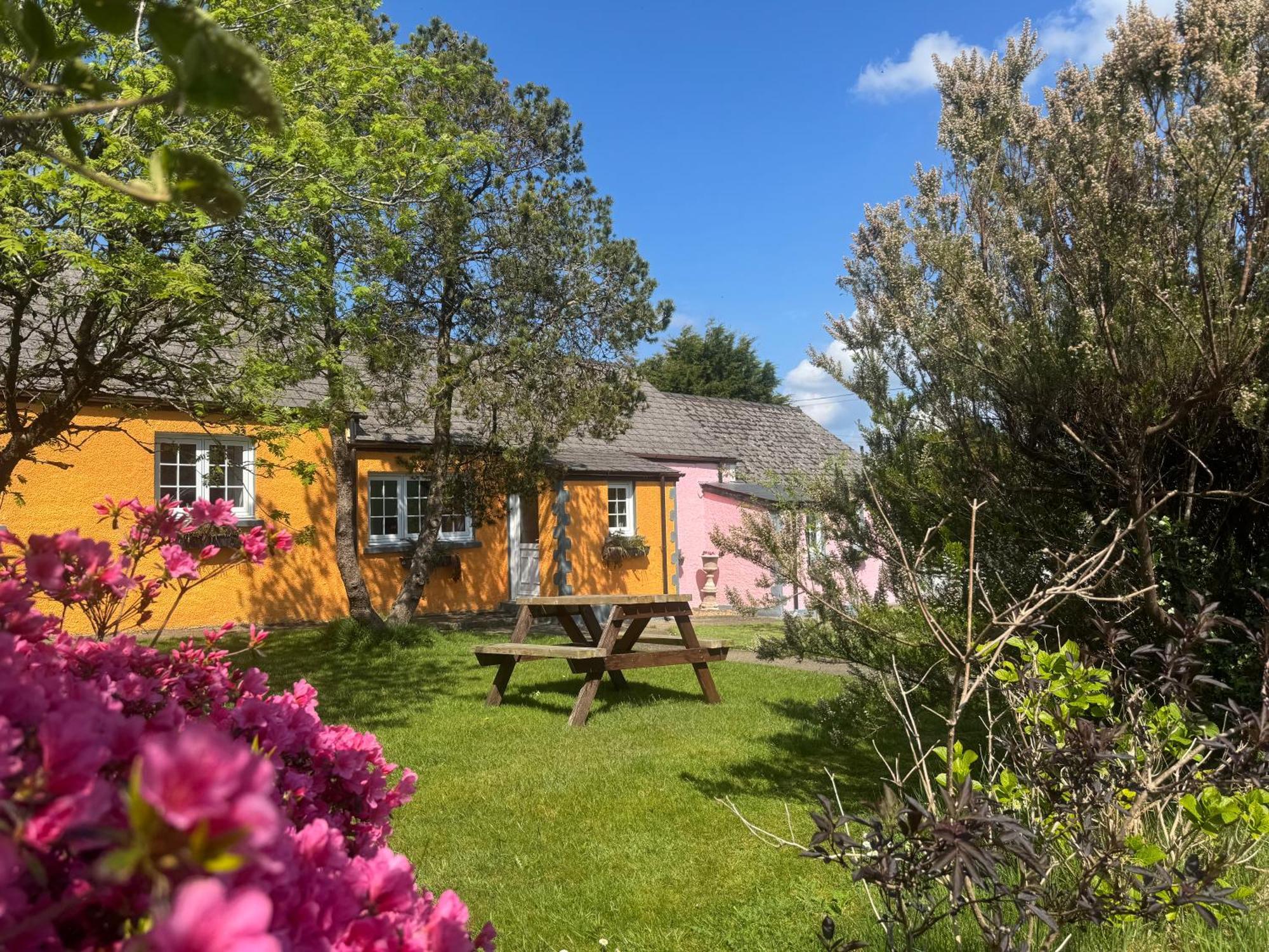 Trenewydd Farm Holiday Cottages Кардиган Экстерьер фото